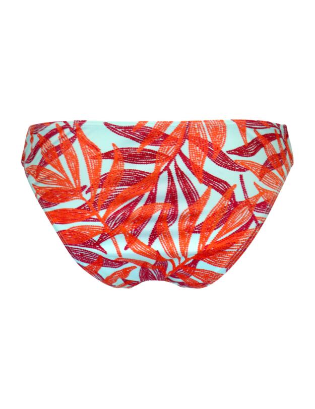 Pour Moi Free Spirit Bikini Brief Aqua Palm