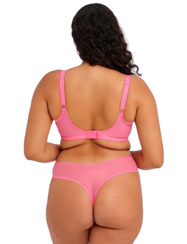 Elomi Matilda Thong Wild Cherry