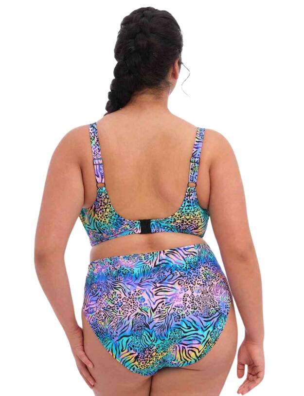 Elomi Electric Savannah Bikini Briefs Zebra 