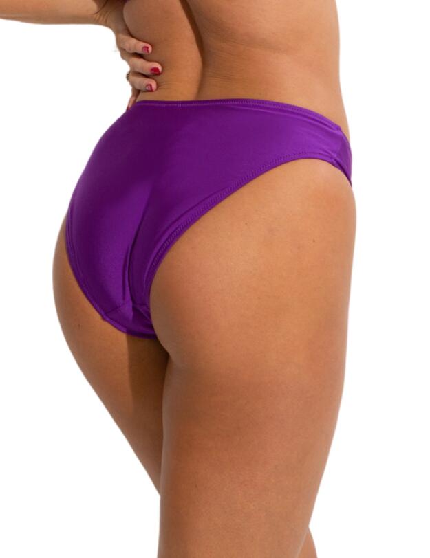 Pour Moi Samoa Bikini Briefs Purple