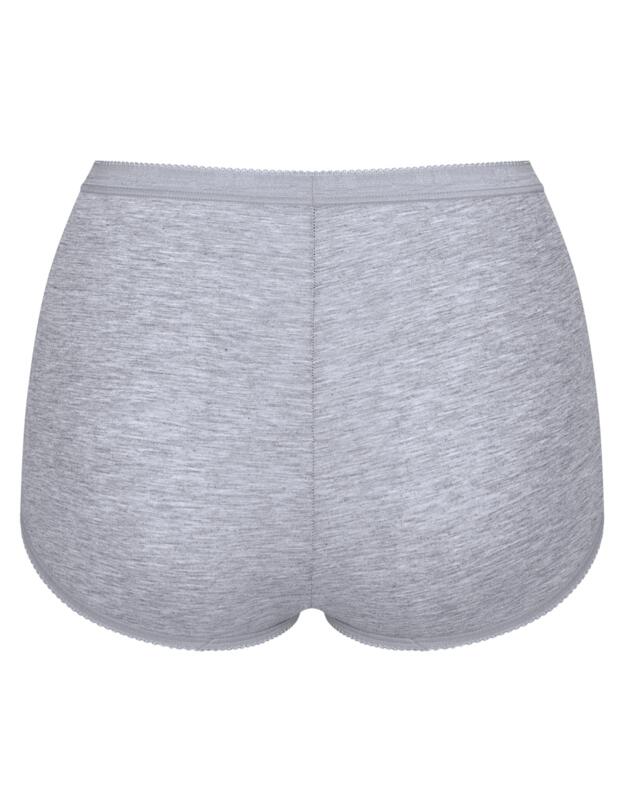Sloggi Basic+ 3 Pack Maxi Briefs Multi