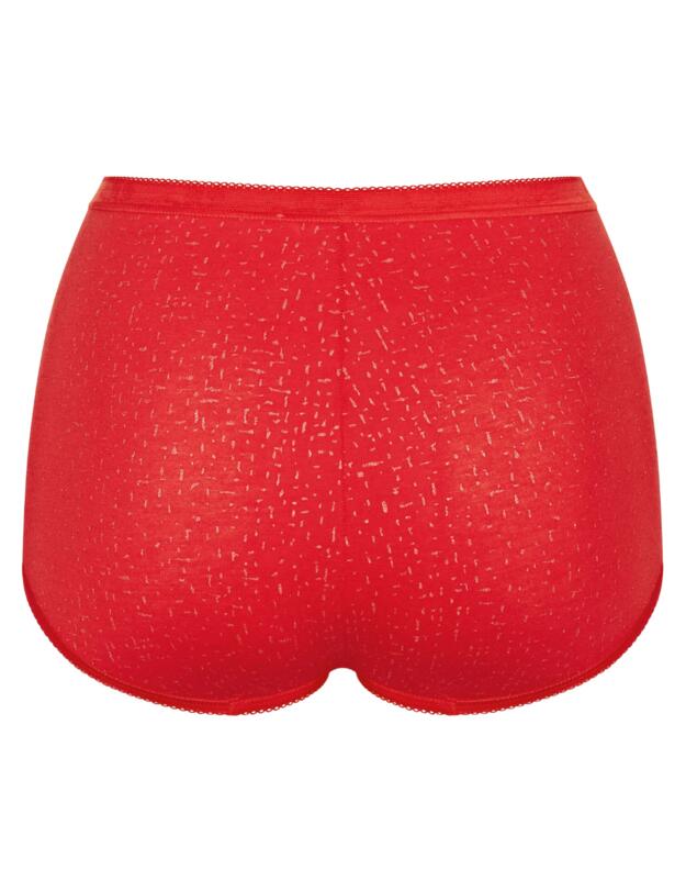 Sloggi Basic+ 3 Pack Maxi Briefs Multi
