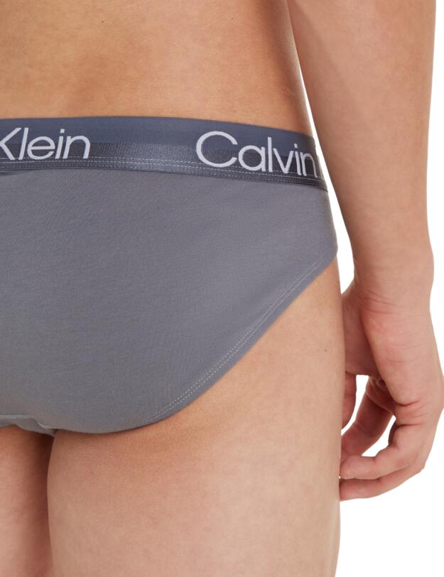 Calvin Klein Mens Modern Structure Hip Brief 3 Pack Beloved Blue/Asphalt Grey/Dragon Fly