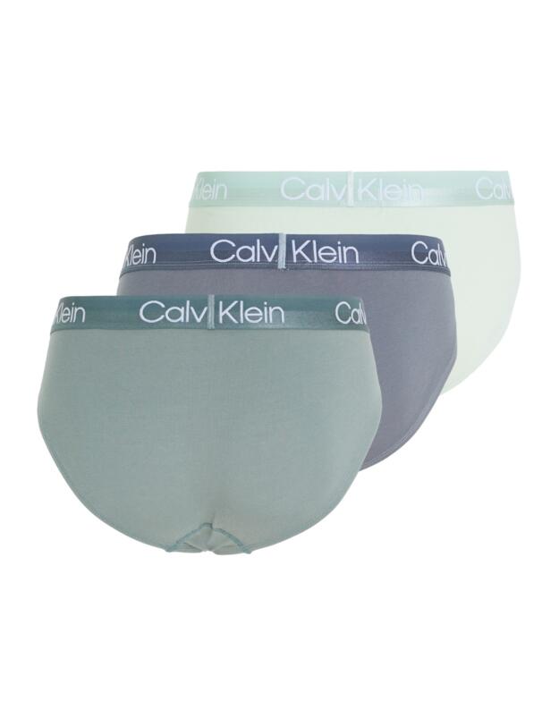 Calvin Klein Mens Modern Structure Hip Brief 3 Pack Beloved Blue/Asphalt Grey/Dragon Fly