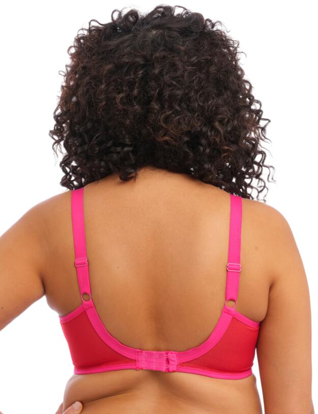 Elomi Kintai Plunge Bra Cha Cha 
