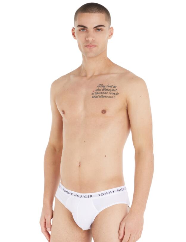 Tommy Hilfiger Mens 3 Pack Brief Black Sublunar/White