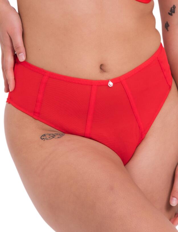 Curvy Kate Elementary High Waist Brazilian Brief Red/Pink