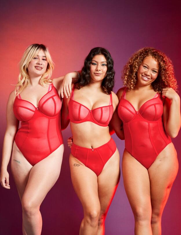 Curvy Kate Elementary High Waist Brazilian Brief Red/Pink