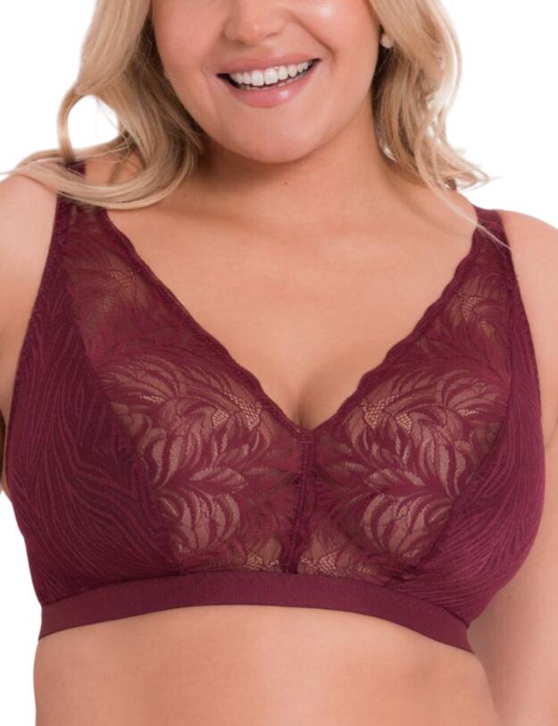 Curvy Kate Lace Daze Bralette Claret 