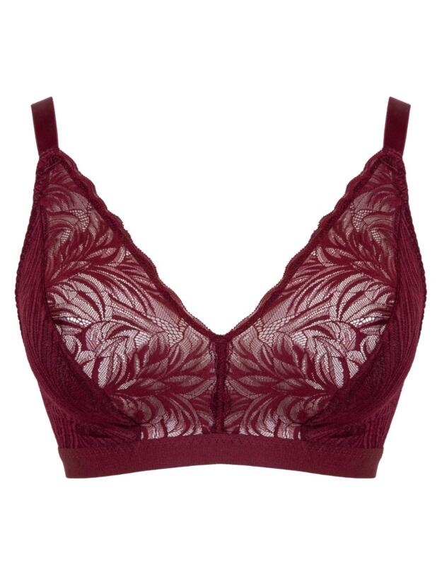 Curvy Kate Lace Daze Bralette Claret 