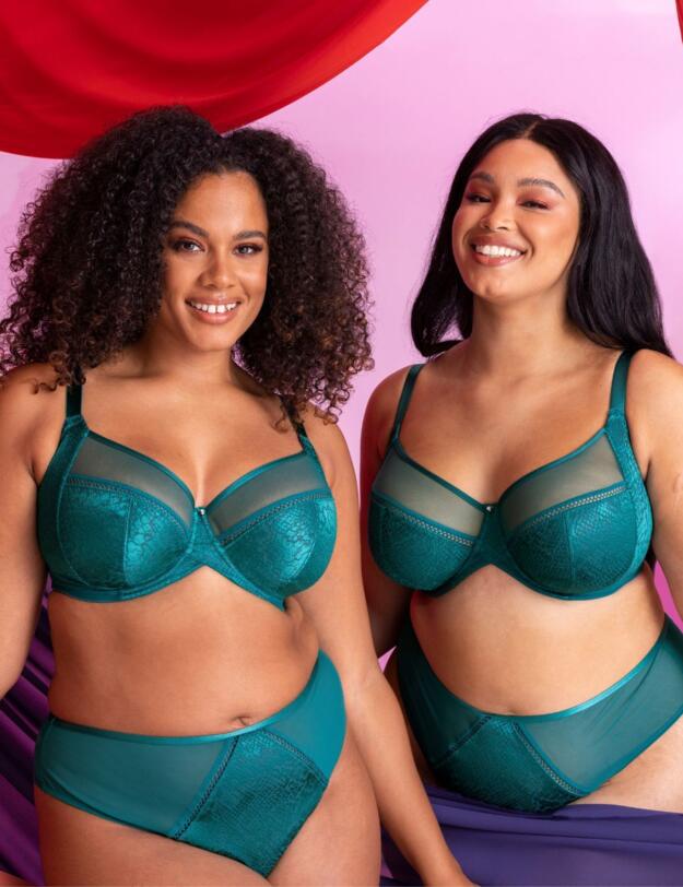 Curvy Kate Amaze High Waisted Brazilian Brief Verdigris
