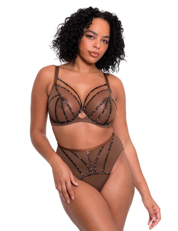 Scantilly by Curvy Kate Senses High Waisted Brief Leopard Brown