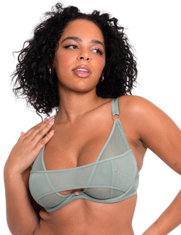Scantilly by Curvy Kate Peep Show Plunge Bra Sage Green