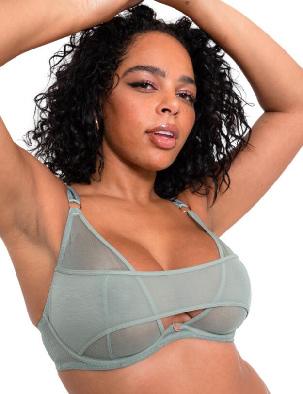 Scantilly by Curvy Kate Peep Show Plunge Bra Sage Green