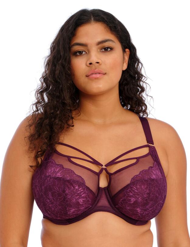 Elomi Brianna Underwired Plunge Bra Blackberry