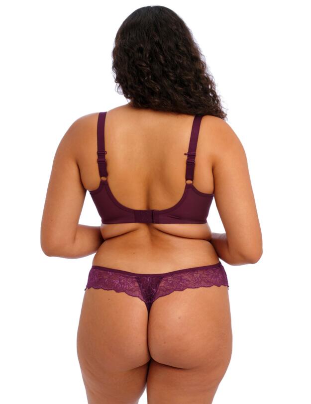 Elomi Brianna Thong Blackberry 