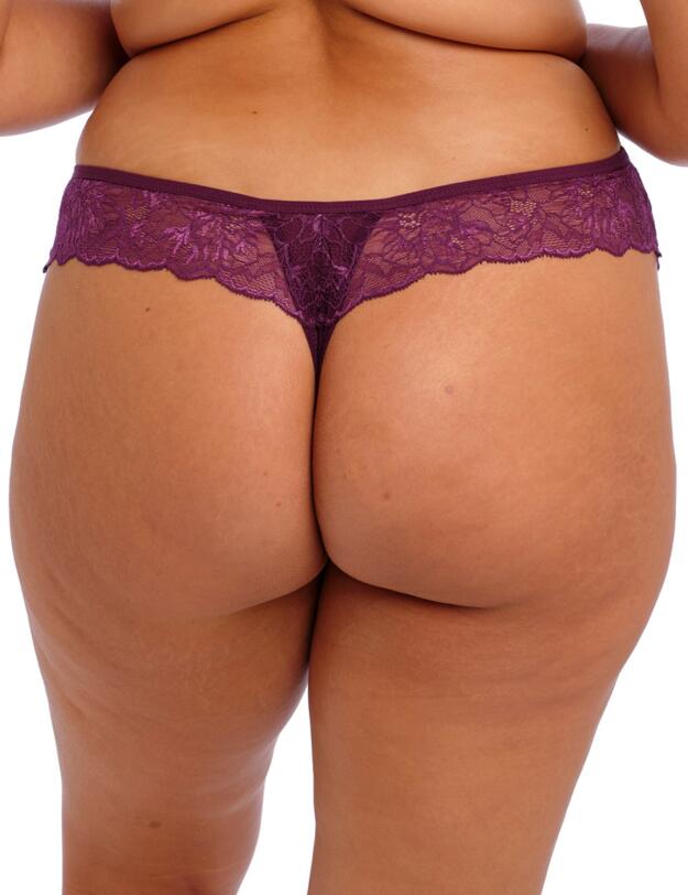 Elomi Brianna Thong Blackberry 