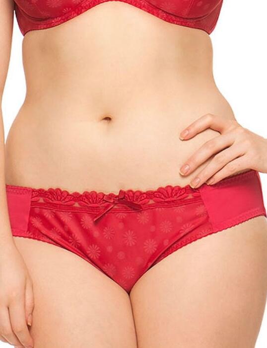 3205 Curvy Kate Daisie Brief - 3205 Ruby Red