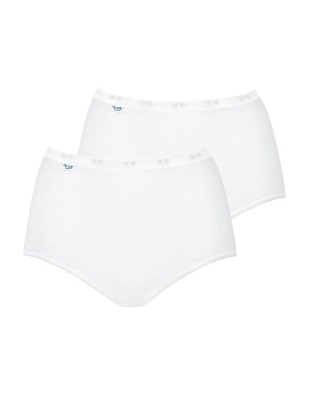 Sloggi Basic+ Maxi Brief 2 Pack White
