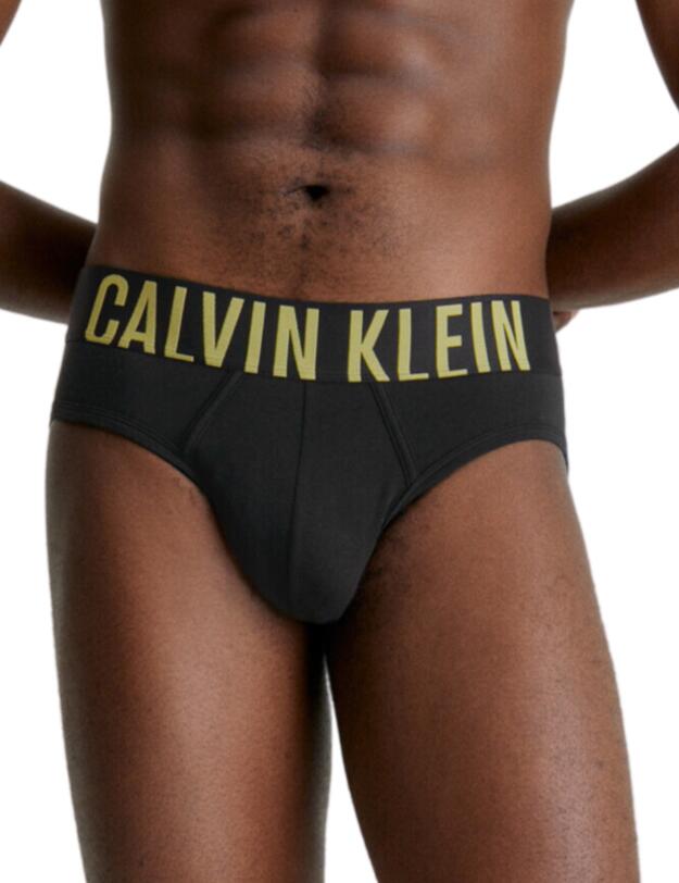 Calvin Klein Mens Intense Power Hipster Brief 2 Pack B-Celery Sprig, Piece of Blue Logo
