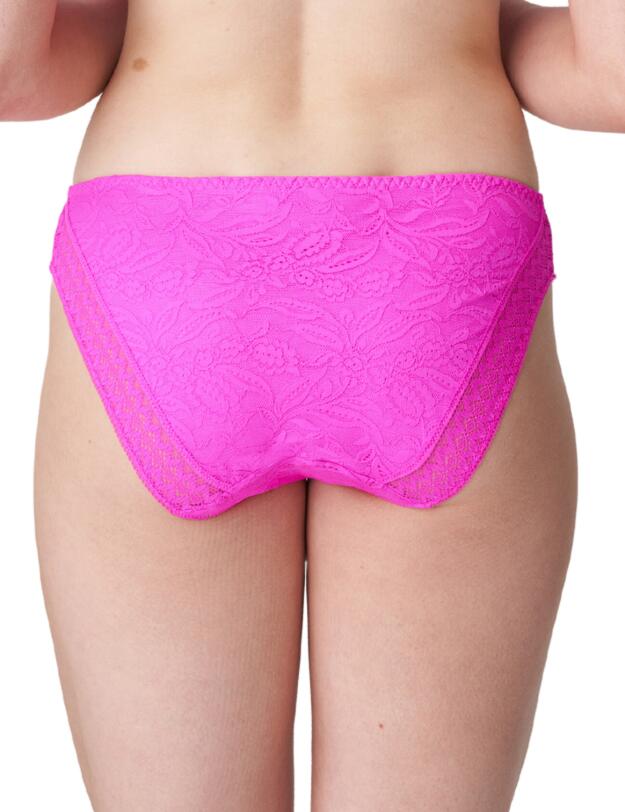 Prima Donna Palermo Rio Briefs Cactus Flower