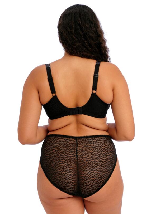 Elomi Lucie High Leg Brief Rock n Rose