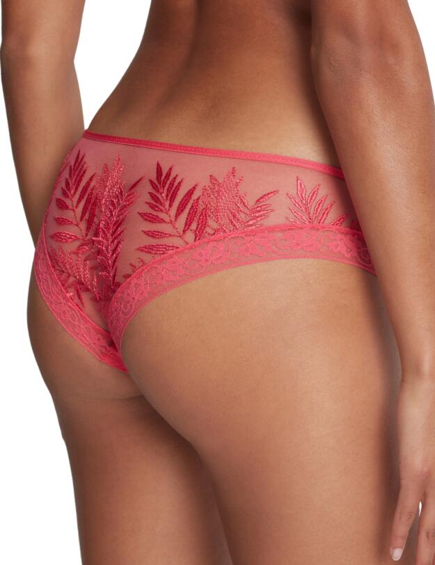  Aubade Parenthese Tropicale Hipster Brief Joy