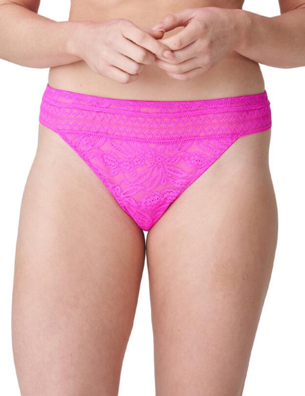 Prima Donna Palermo Thong Catcus Flower 