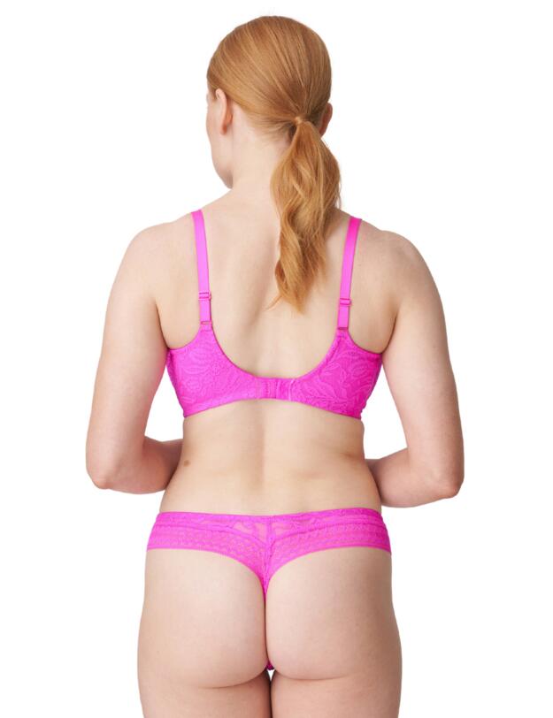 Prima Donna Palermo Thong Catcus Flower 