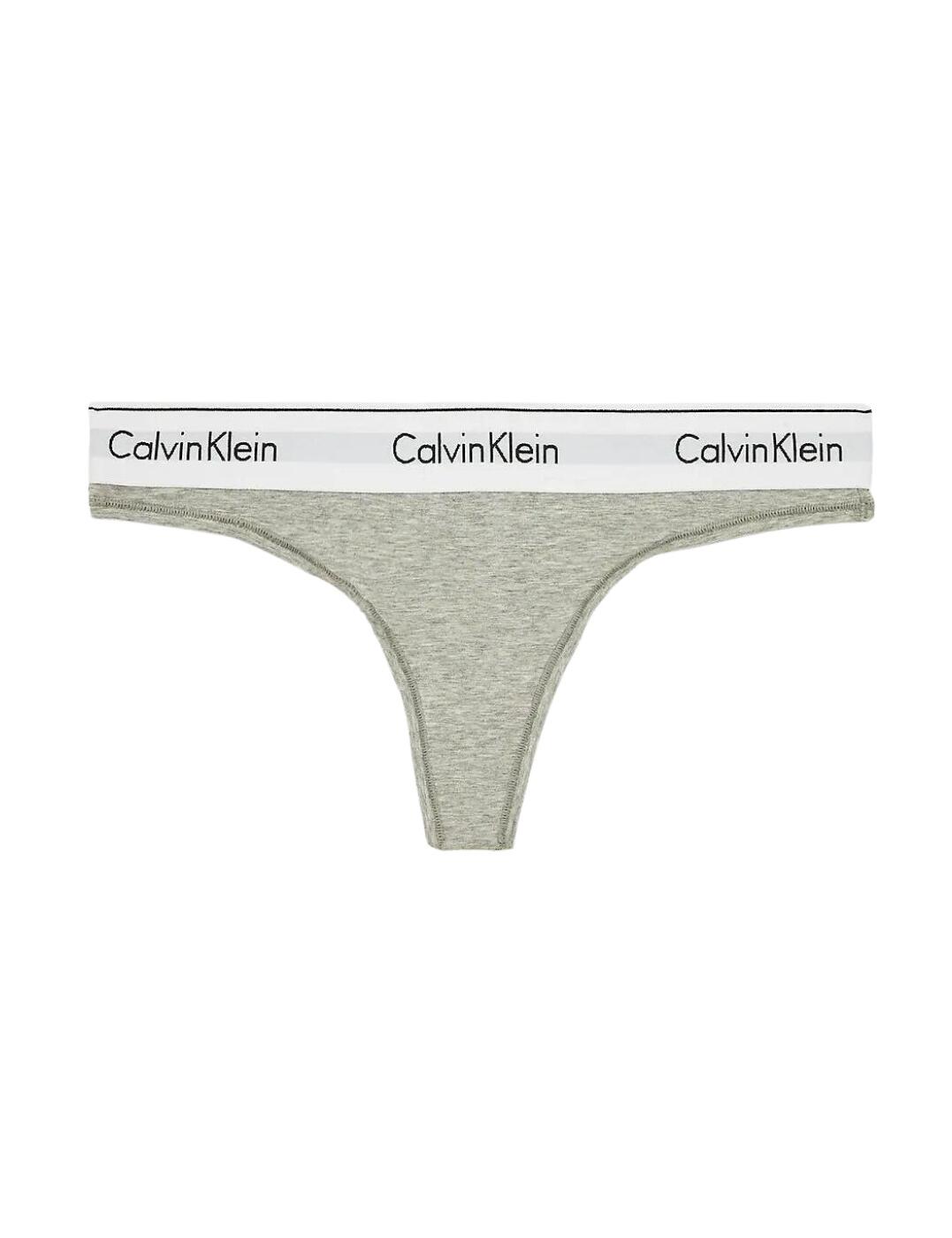 Calvin Klein Modern Cotton Thong in Purple