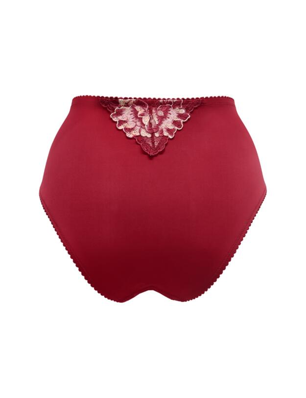 Pour Moi Sofia Lace Embroidered Deep Brief Red