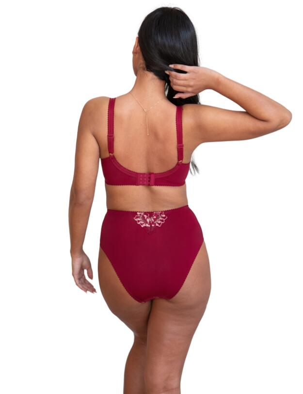 Pour Moi Sofia Lace Embroidered Deep Brief Red