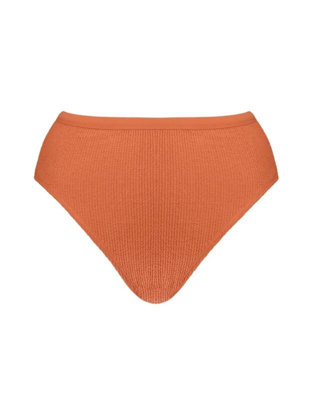 Curvy Kate Holiday Crush High Waist Bikini Brief Rust