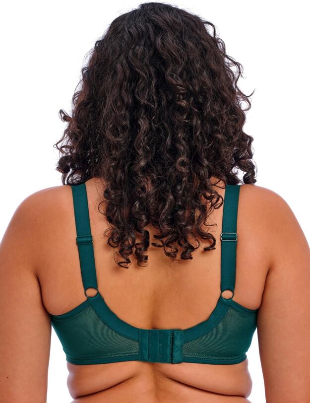 Elomi Kintai Plunge Bra Deep Teal