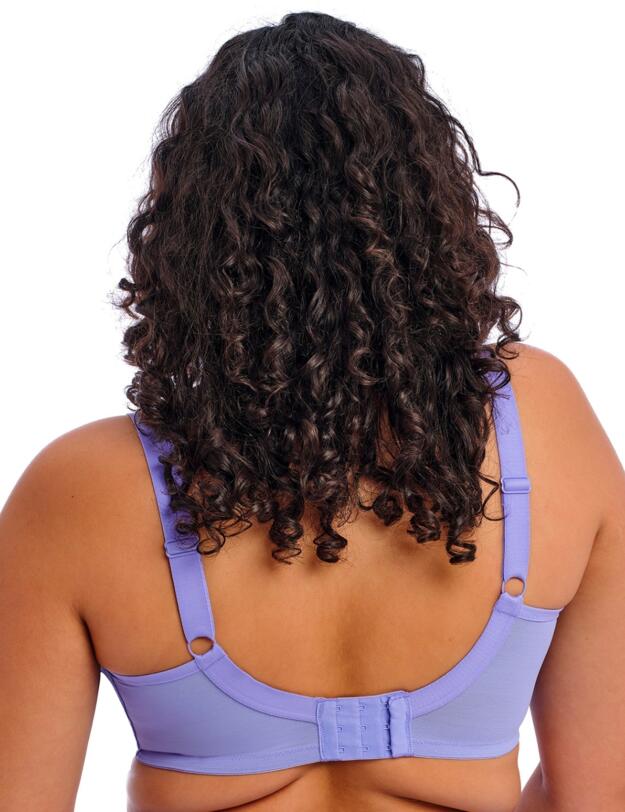  Elomi Brianna Underwired Plunge Bra Jacaranda 