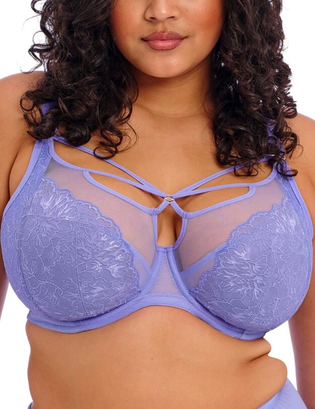  Elomi Brianna Underwired Plunge Bra Jacaranda 