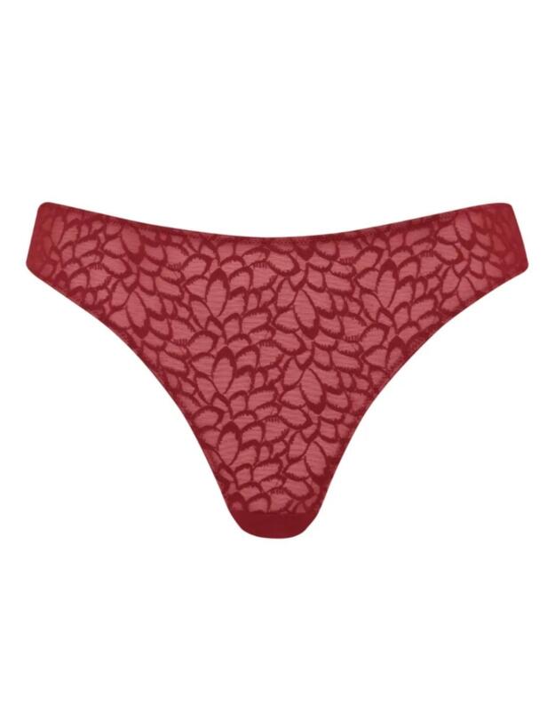 Curvy Kate Love Me Lace Brazilian Brief Claret 