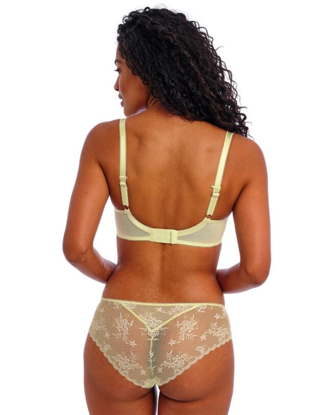  402550 Freya Offbeat Decadence Brief - 402550 Key Lime