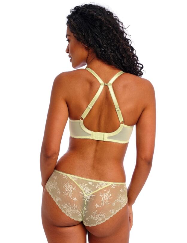 Freya Offbeat Decadence Brief Key Lime