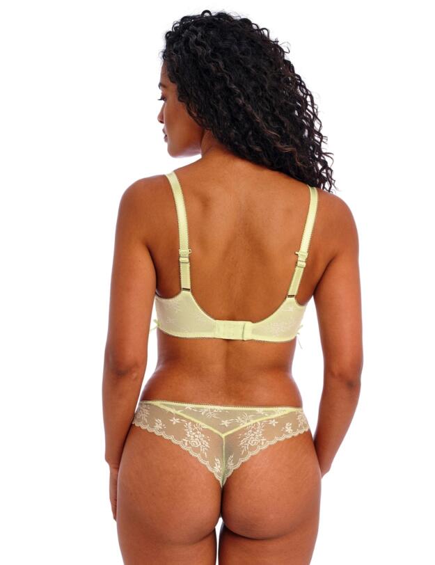 Freya Offbeat Decadence Brazilian Brief Key Lime