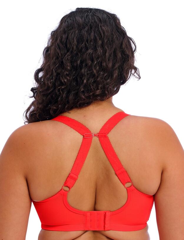 Elomi Charley Underwired Plunge Bra Salsa 