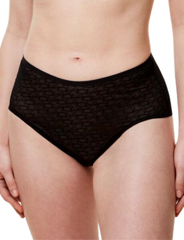 Triumph Signature Sheer Maxi Briefs Black