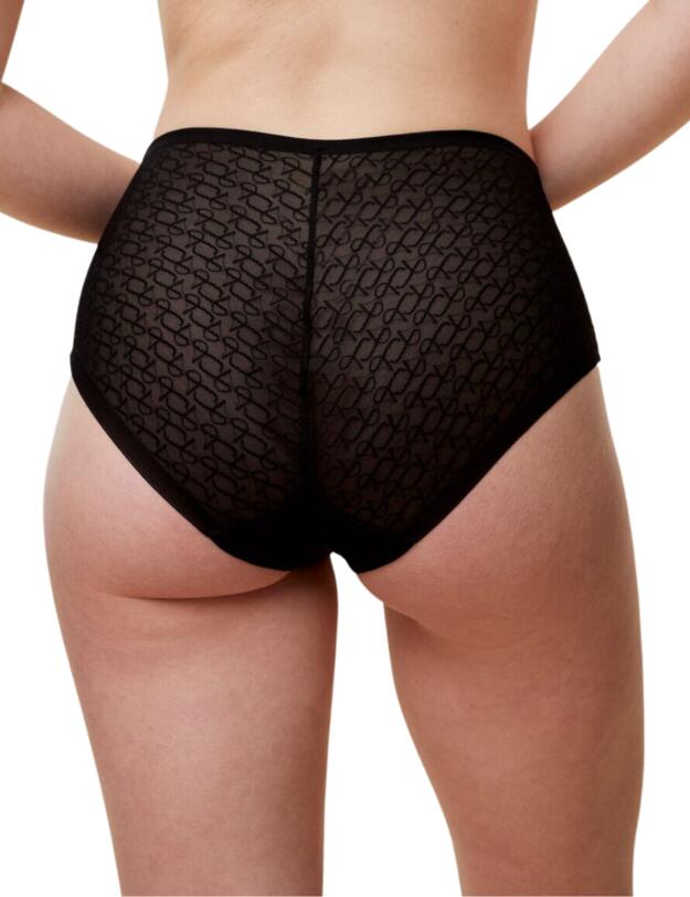 Triumph Signature Sheer Maxi Briefs Black