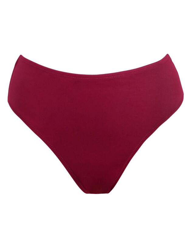 Pour Moi Space High Leg Bikini Brief Dark Red