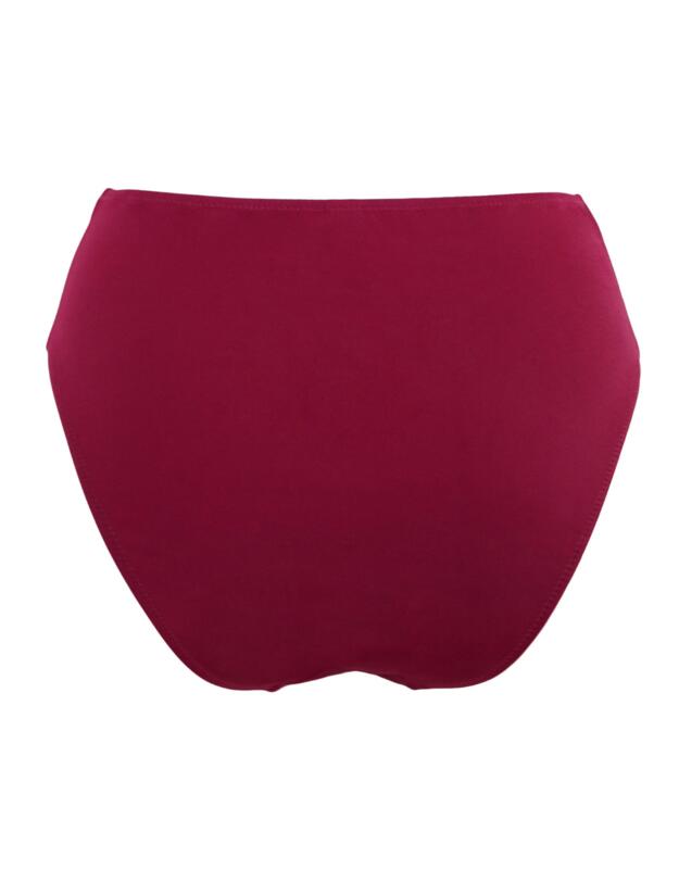 Pour Moi Space High Leg Bikini Brief Dark Red
