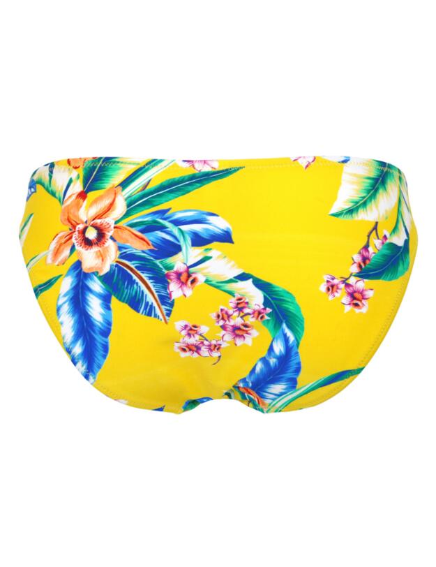 Pour Moi Heatwave Bikini Brief Malibu