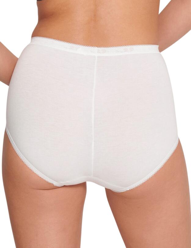 Sloggi Basic+ Maxi Brief 4 Pack Multiple Colours 13 (V013)