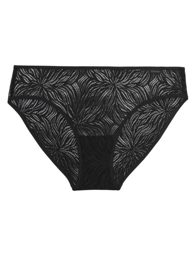 Calvin Klein Sheer Marquisette Brief Black 