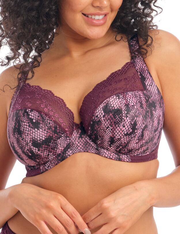 Elomi Lucie Plunge Bra Mambo 