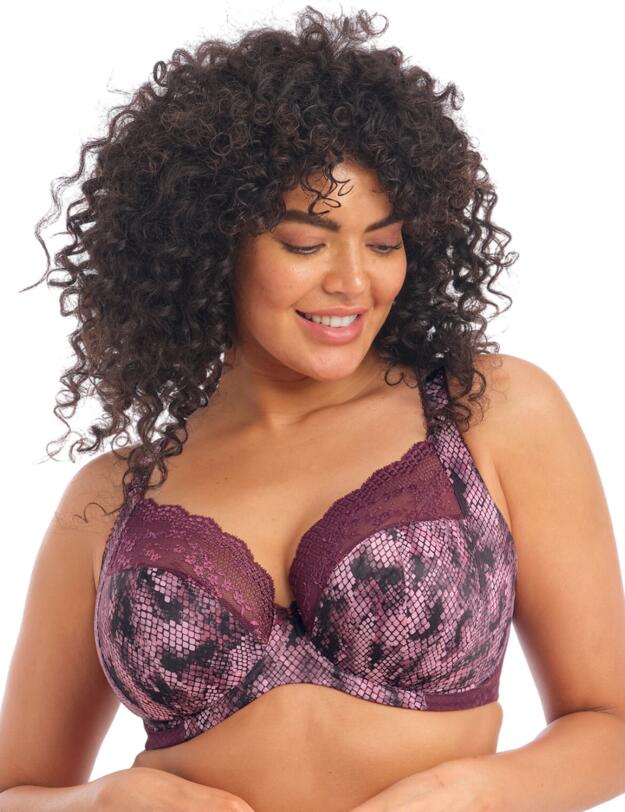 Elomi Lucie Plunge Bra Mambo 